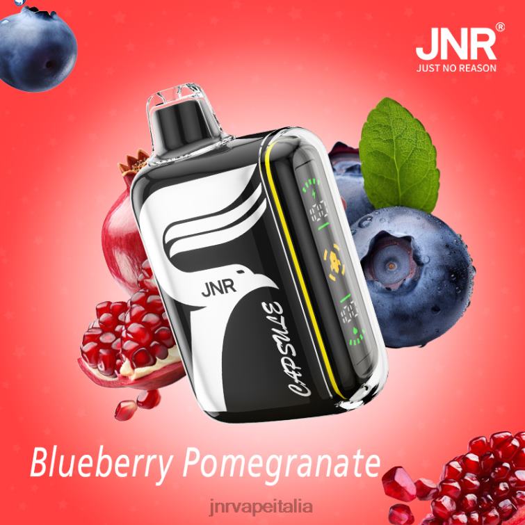 JNR Vape Flavours - JNR capsula mirtillo-melograno NZXH859