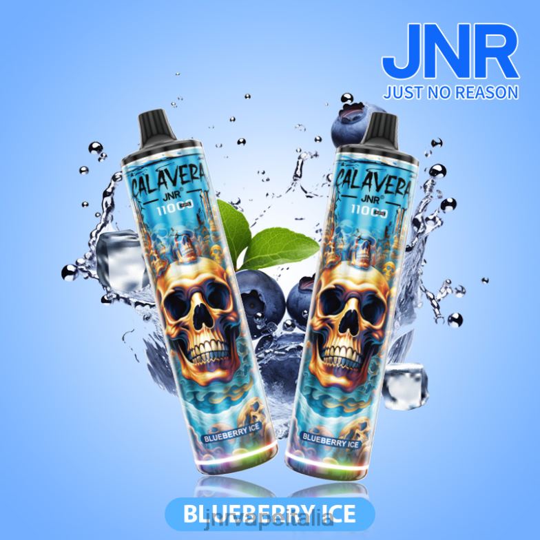 JNR Vape Review - jnr calavera ghiaccio al mirtillo 4H28D292