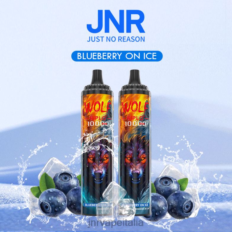 JNR Vape Shop - jnr lupo niplo mirtillo su ghiaccio 4H28D358