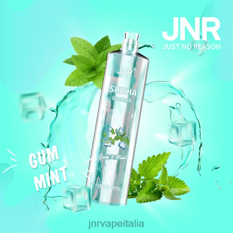 JNR Vape Italy - jnr shisha gomma e menta 4H28D164