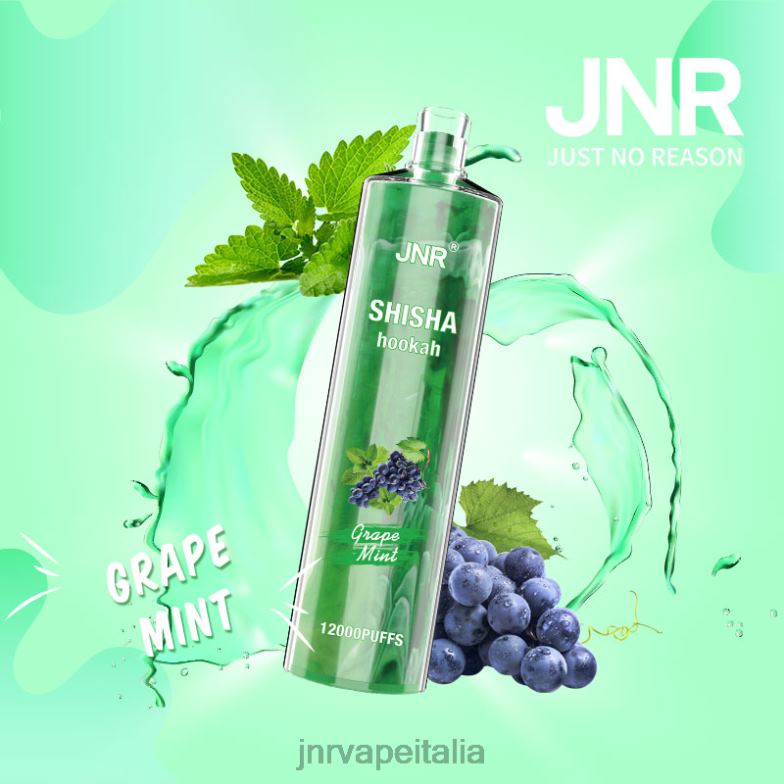 JNR Vape Price - jnr shisha menta d'uva 4H28D171