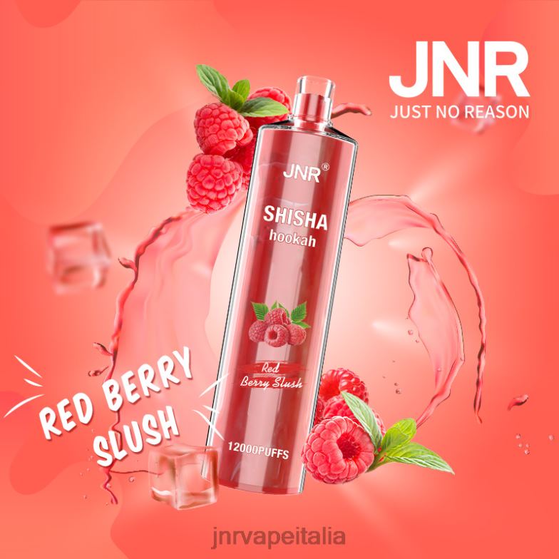 JNR Vape Shop - jnr shisha granita ai frutti rossi 4H28D168