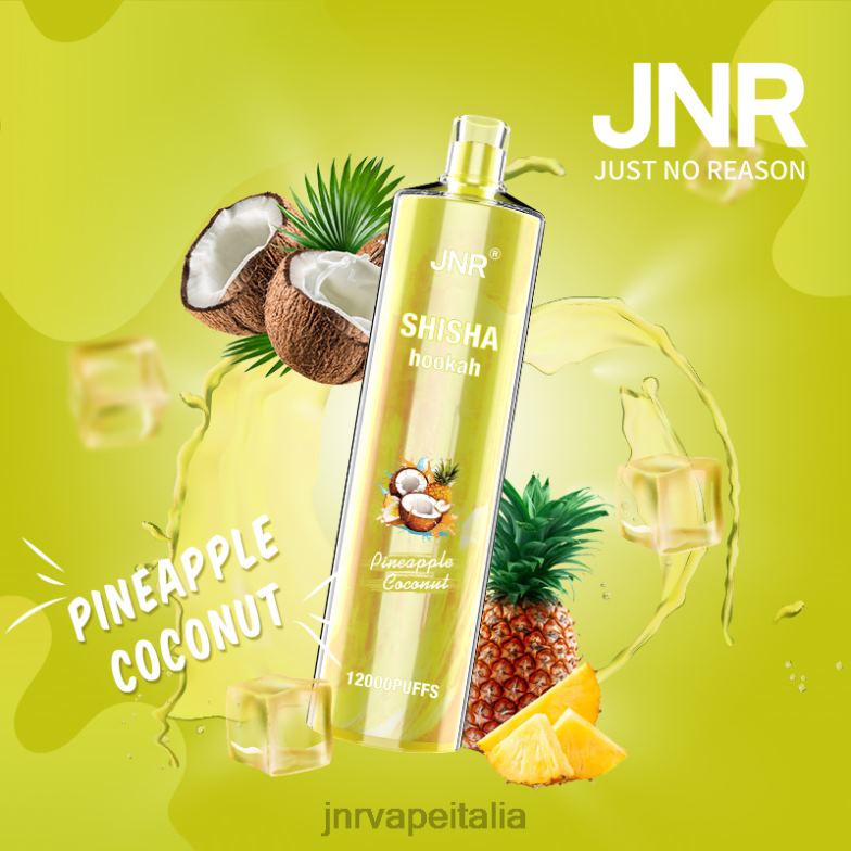 JNR Vapes Factory - jnr shisha cocco all'ananas 4H28D167