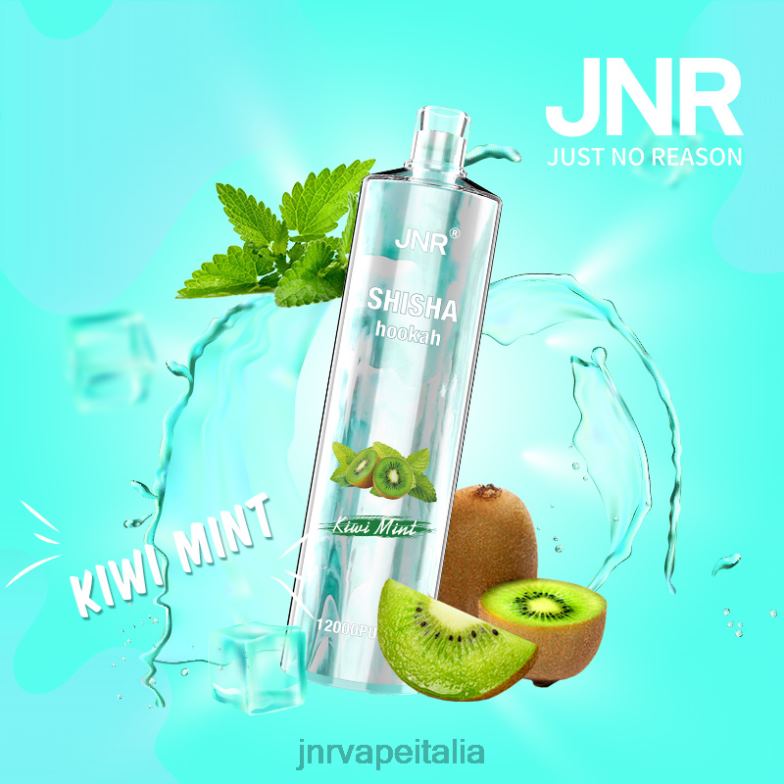JNR Vapes Website - jnr shisha menta di kiwi 4H28D169