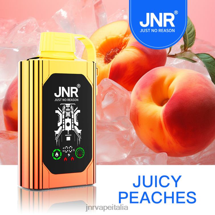 JNR Vape Milano - JNR SHISHA scatola pesche succose NZXH884