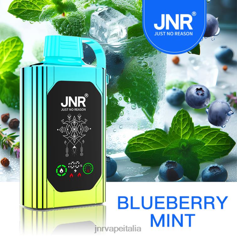 JNR Vapes Website - JNR SHISHA scatola menta di mirtilli NZXH888